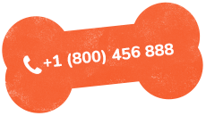 https://www.ranchorelaxo.ae/wp-content/uploads/2019/07/text_02.png