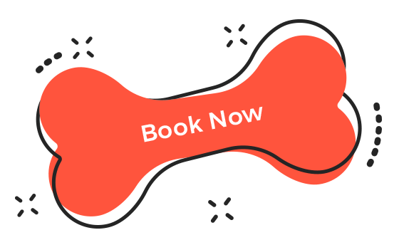 https://www.ranchorelaxo.ae/wp-content/uploads/2019/08/book_now.png
