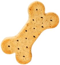 https://www.ranchorelaxo.ae/wp-content/uploads/2019/08/cookie.png